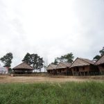 IMG 20230808 WA0512 150x150