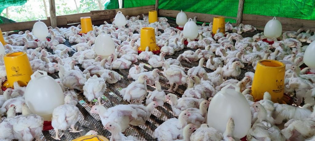 WhatsApp Image 2023 08 11 At 20.22.47