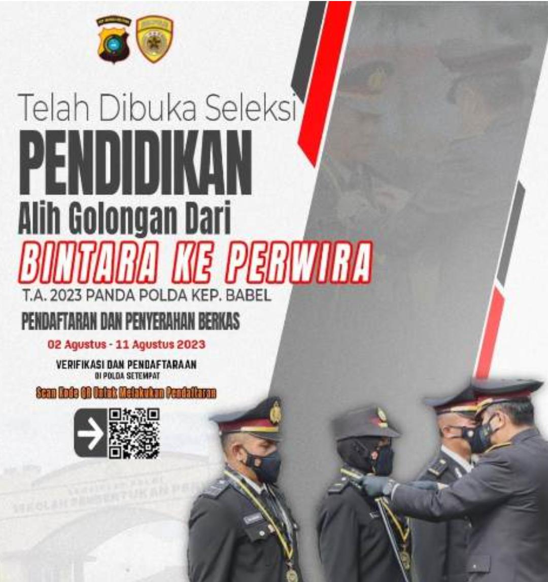 WhatsApp Image 2023 08 12 At 14.58.06