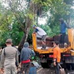 WhatsApp Image 2023 08 24 At 16.52.32 150x150