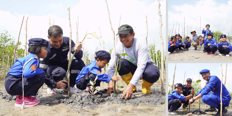 Babel Mangrove 1