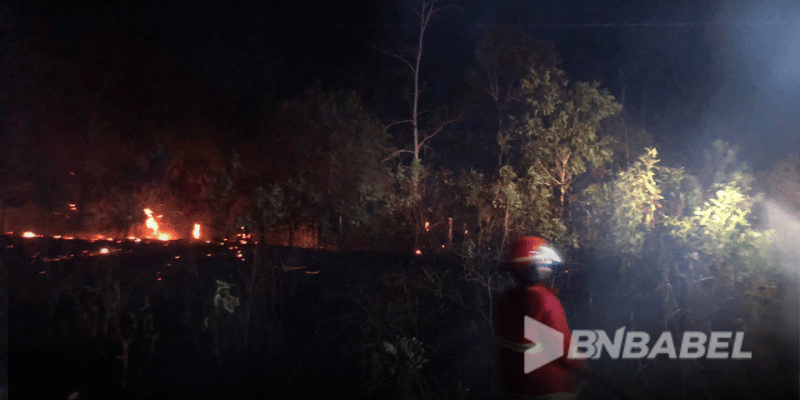 Babel Kebakaran Hutan