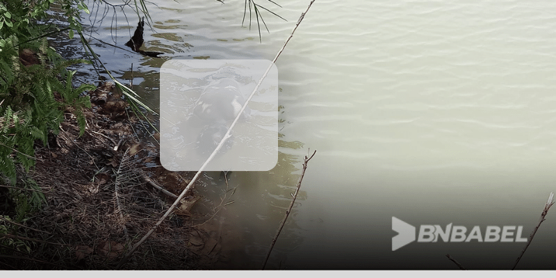 Babel Agus Tenggelam