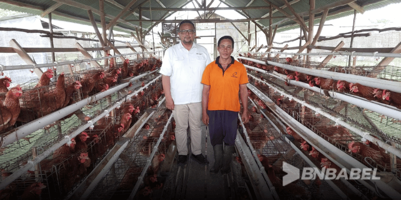 Babel Ayam