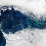 Perkembangan Fitoplankton yang Menakjubkan Membentang Ratusan Mil di Atlantik Utara