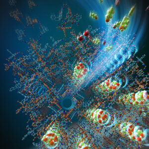 Struktur Supramolekul Fungsional Ganda Baru Terungkap