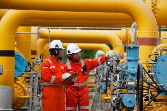 Pemerintah Tunggu Hasil Audit BPKP untuk Kelanjutan Program HGBT