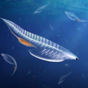 Peneliti Harvard Temukan Fosil Vertebrata Berbadan Lunak Langka di Cekungan Amerika