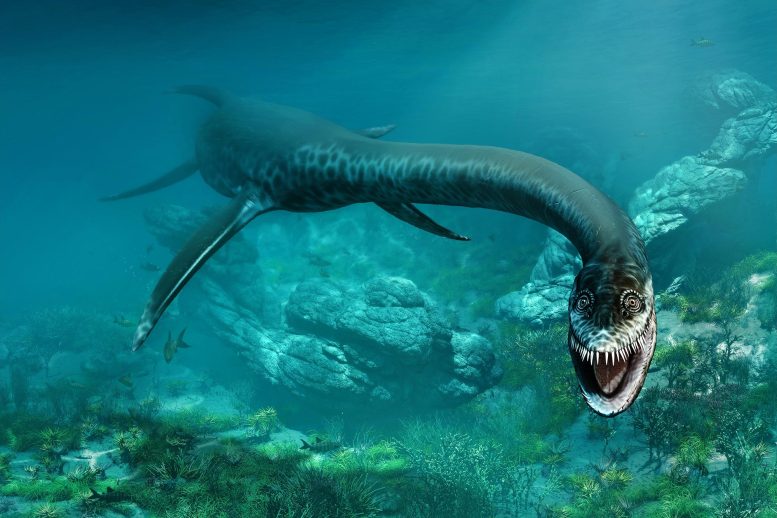 Styxosaurus Plesiosaurus