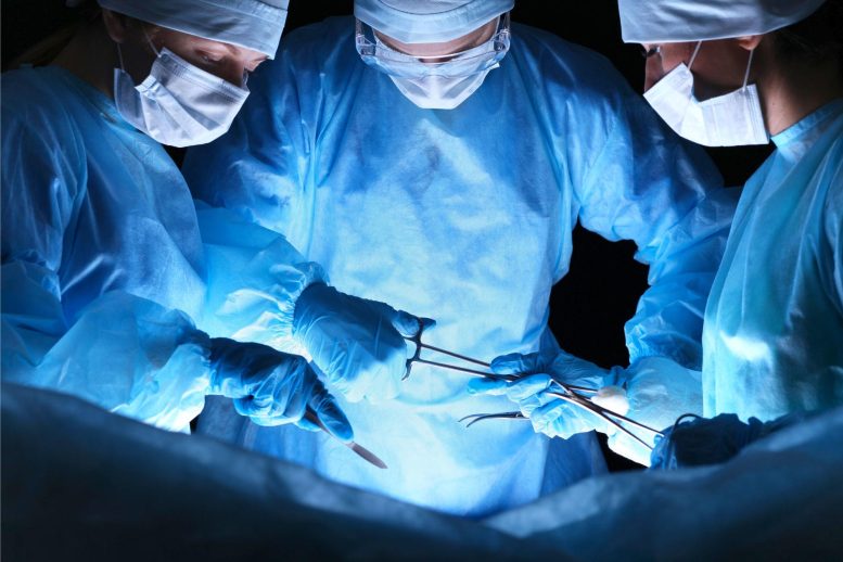 Dokter Bedah