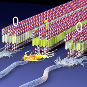 Nanoribbon Elektronik