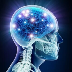 Sinar X Aktivitas Otak Neuron