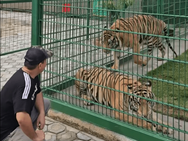 Screenshot 2024 11 18 235245