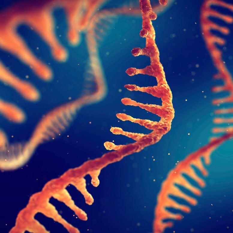 Bioteknologi RNA