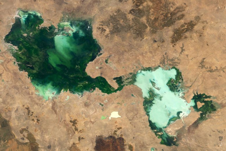 Danau Tarrabool Australia 2024