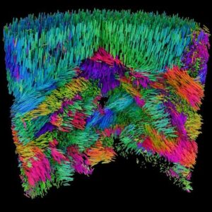 Memetakan Arsitektur Bahan Fungsional Skala Nano