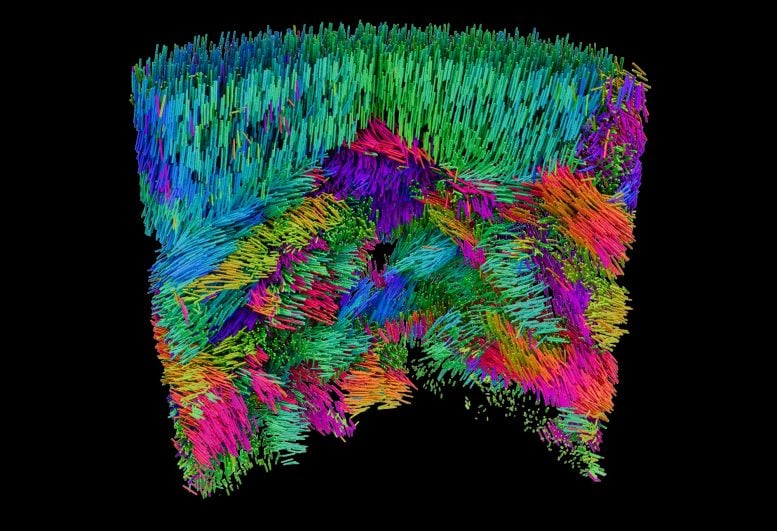 Memetakan Arsitektur Bahan Fungsional Skala Nano