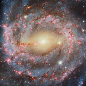 Galaksi Spiral Besar NGC 5643