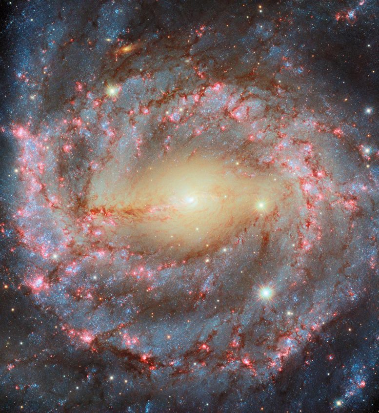Galaksi Spiral Besar NGC 5643
