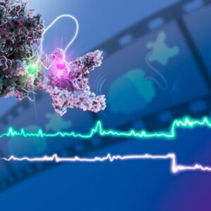 Film Molekul Mikroskopi Fluoresensi Multi Warna Molekul Tunggal