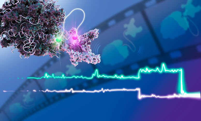 Film Molekul Mikroskopi Fluoresensi Multi Warna Molekul Tunggal