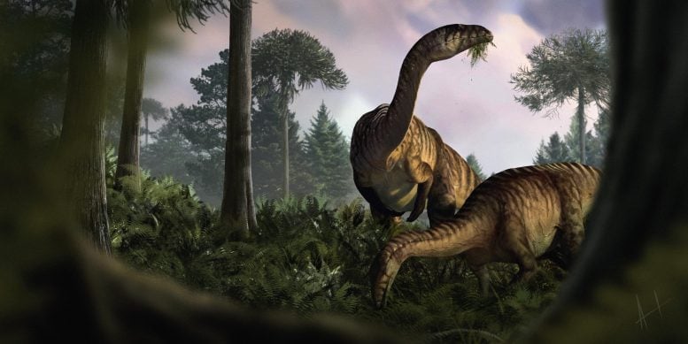 Ilustrasi Sauropodomorph