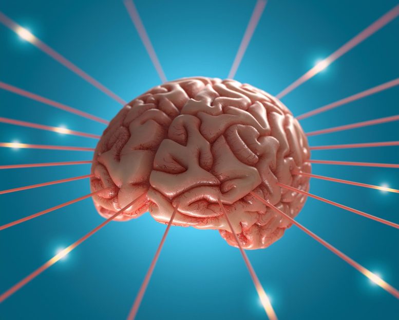 Konsep Sinyal Energi Otak