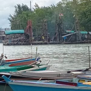 IMG 20241220 WA0018 300x300
