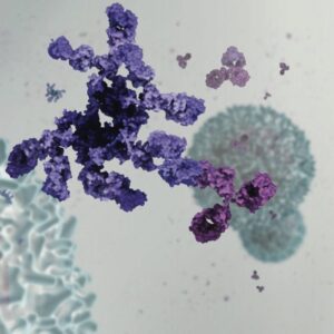 Ilustrasi Molekuler dari Antibodi