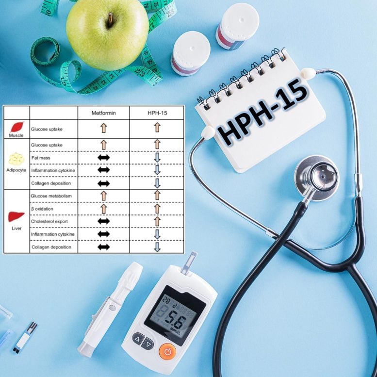 Grafik HPH 15