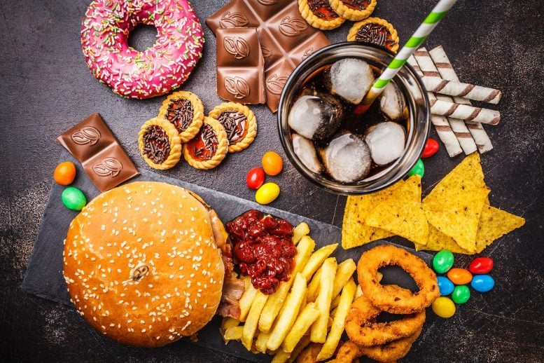 Aneka Junk Food yang Tidak Sehat