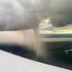 Hujan Lebat Di Hutan Hujan