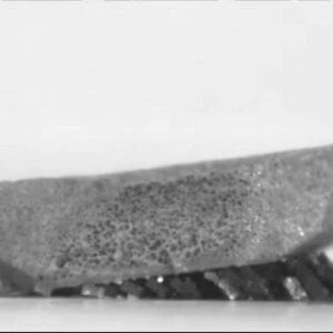 Benda Pengangkat Robot Semut