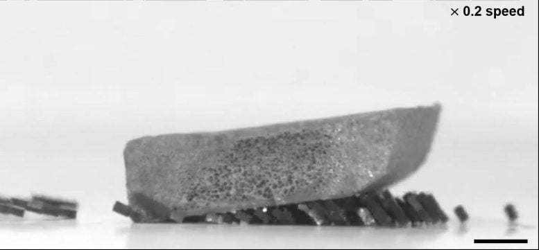 Benda Pengangkat Robot Semut