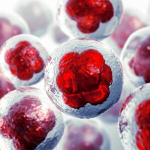 Ilustrasi Biologi Sel