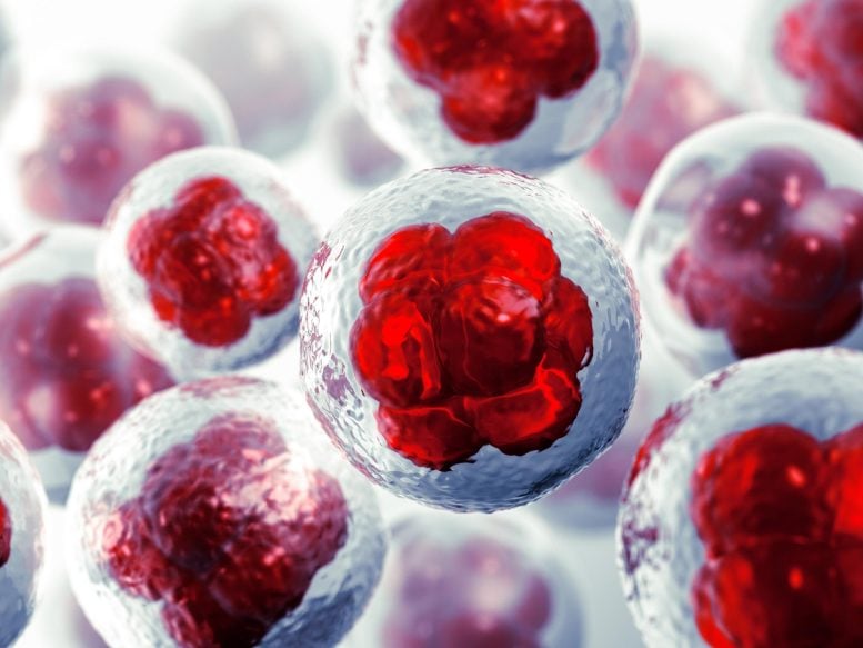 Ilustrasi Biologi Sel