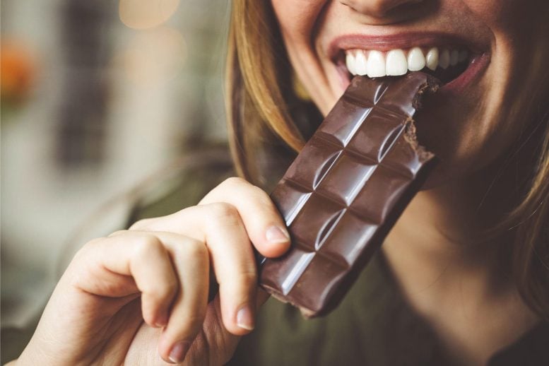 Makan Coklat