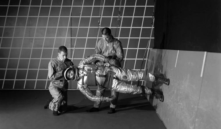 Tanaman Simulator Berjalan Gravitasi Berkurang