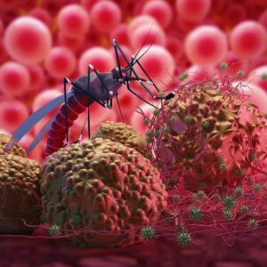Konsep Virus Nyamuk Zika Malaria
