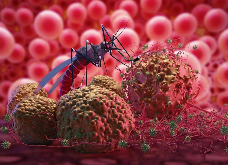 Konsep Virus Nyamuk Zika Malaria
