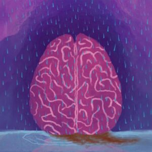 Vasomotion Lambat yang Dimediasi Norepinefrin Mendorong Pembersihan Glimfatik Selama Tidur