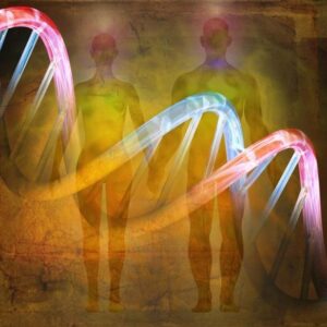 Konsep Sejarah Evolusi DNA Manusia