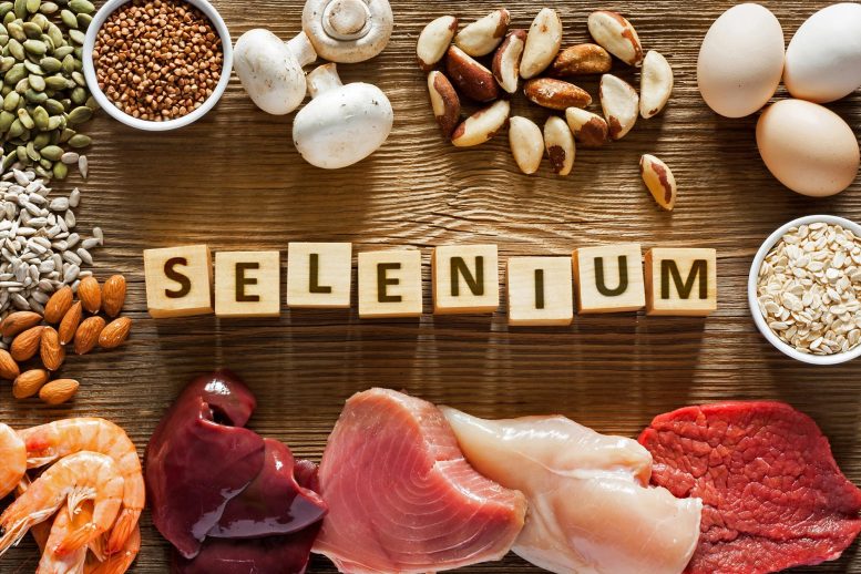 Sumber Makanan Selenium