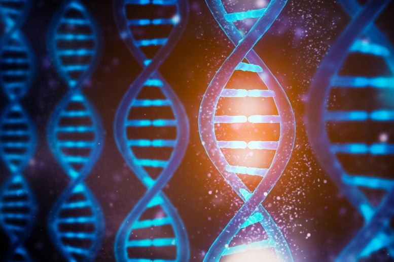 Konsep Fungsi DNA