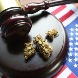 Presiden Biden Membebaskan Hampir 2.500 Hukuman Narkoba