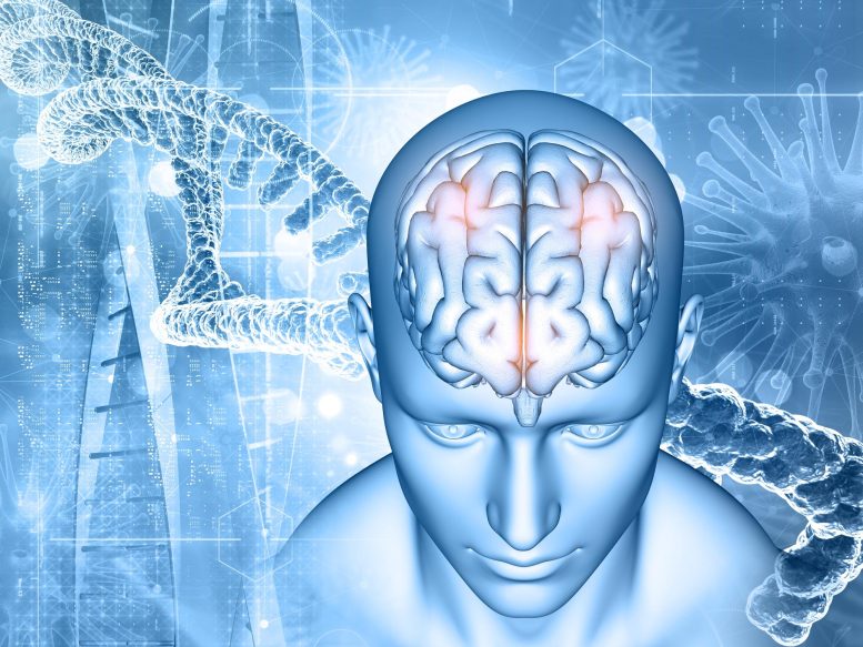 Ilustrasi Infeksi DNA Otak Neuroscience