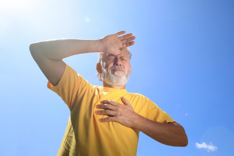 Konsep serangan jantung stroke panas