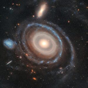 Galaxy Leda 1313424 Tanaman