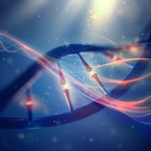 Konsep Artis Evolusi Genetika DNA