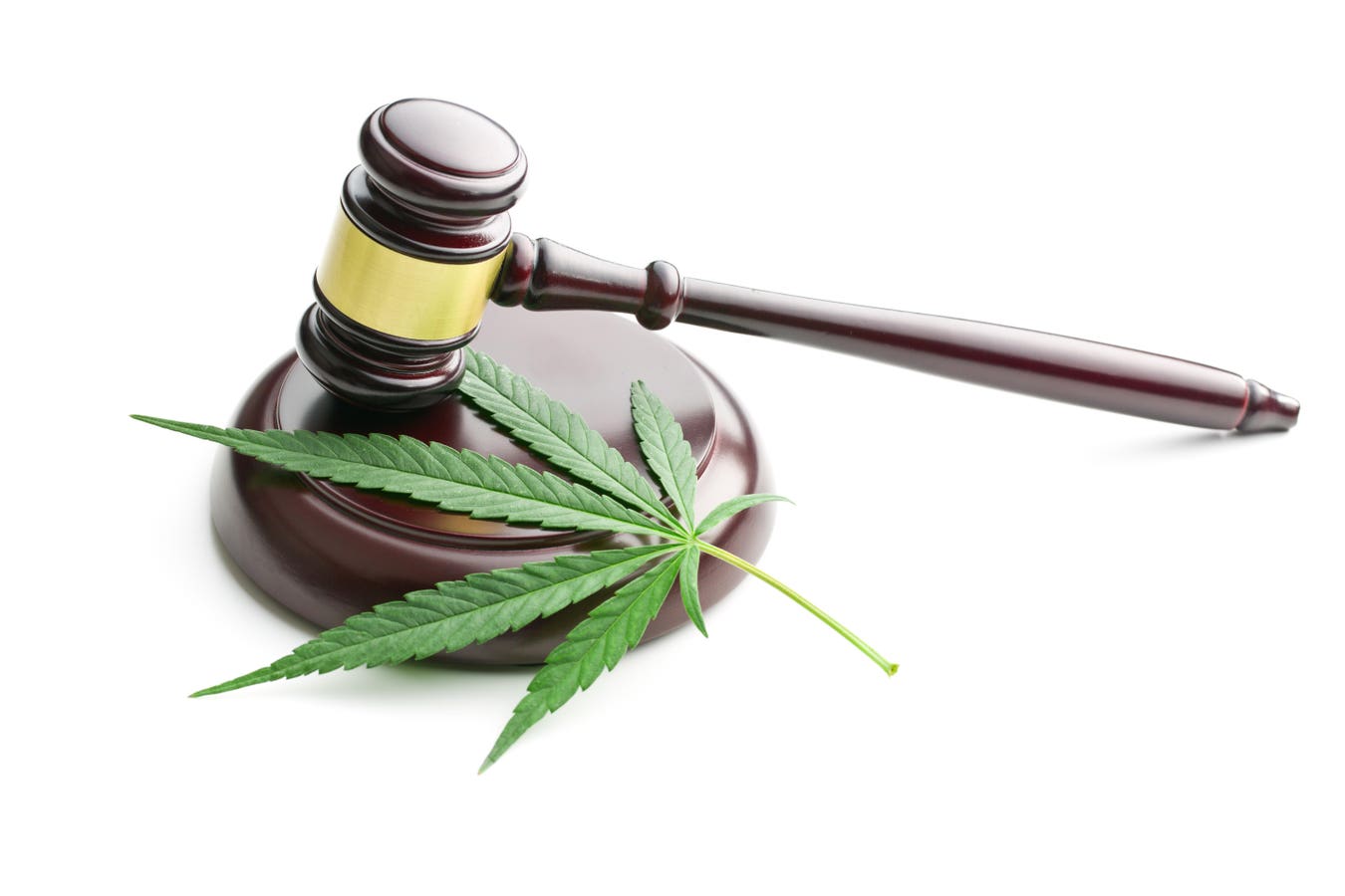 DEA Merekomendasikan Penjadwalan Ulang Ganja, Kata Laporan Berita